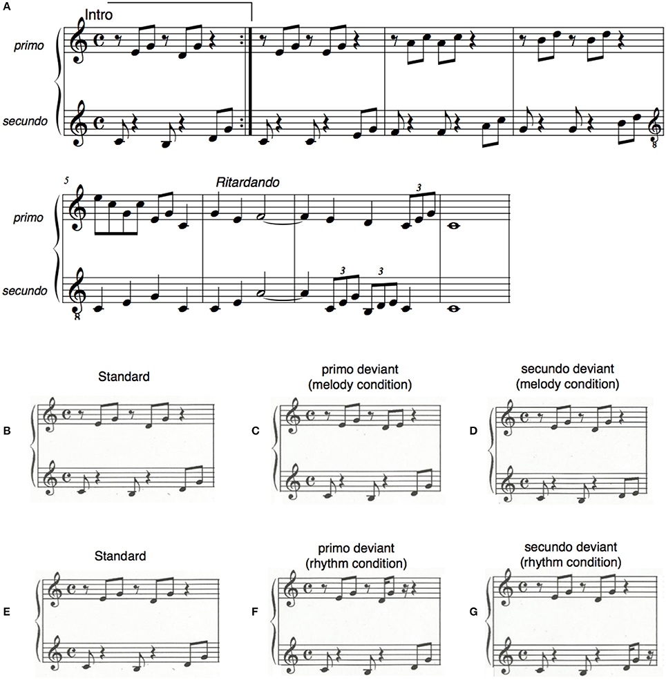 Frontiers Shared Neural Mechanisms For The Prediction Of Own And Partner Musical Sequences After Short term Piano Duet Training Frontiers Shared Neural Mechanisms For The Prediction Of Own And Partner Musical Sequences After Short term Piano Duet Training