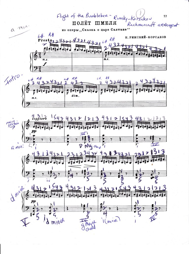 Practicing Flight Of The Bumblebee In Slow Tempo Rachmaninoff Arrangement Of Rimsky Korsakov Video Arioso7 s Blog Shirley Kirsten 